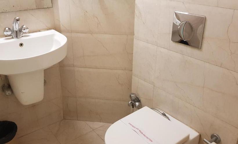 Fotos del hotel Megha Palace:  8