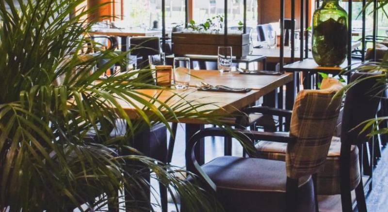 Fotos del hotel Kolumna Park:  18