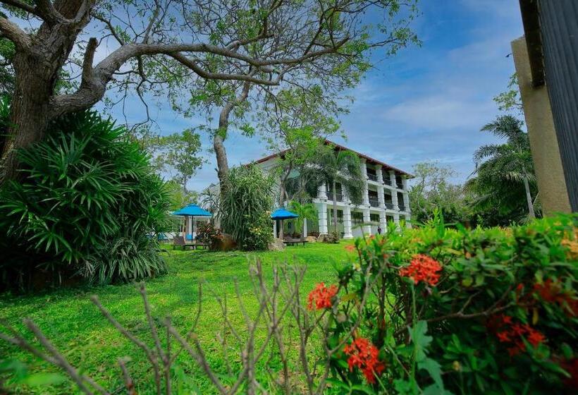 Fotos del hotel Diya Dahara Resort:  18