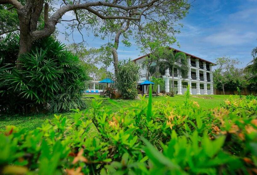 Fotos del hotel Diya Dahara Resort:  4