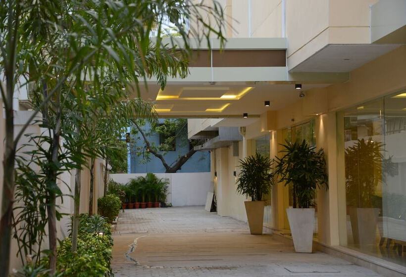 Fotos del hotel Blu Iris:  20