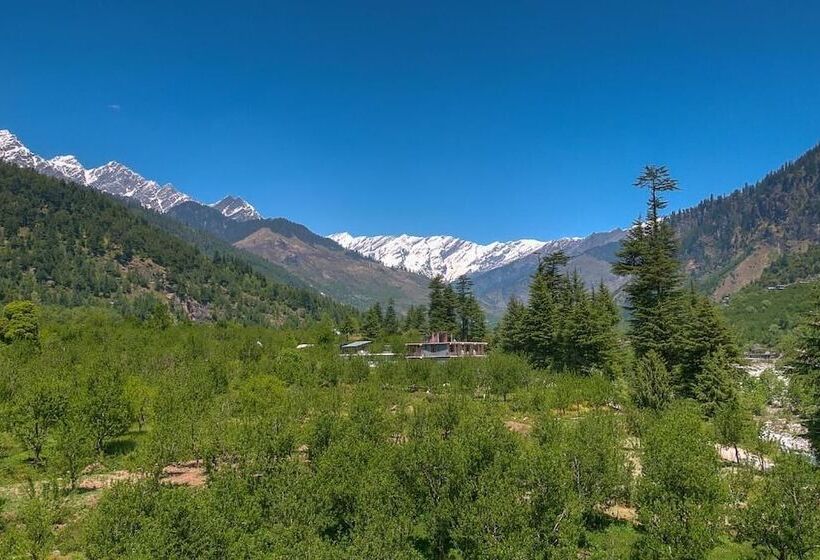 Fotos del hotel Treebo Trend Celebriti Manali:  9