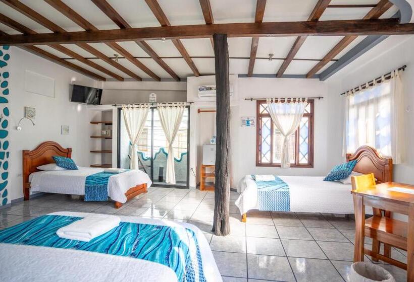 Fotos del hotel Maidith White Cove:  21