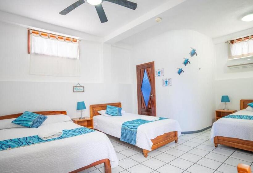 Fotos del hotel Maidith White Cove:  18