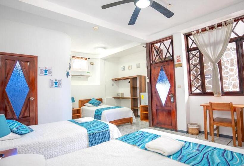 Fotos del hotel Maidith White Cove:  14