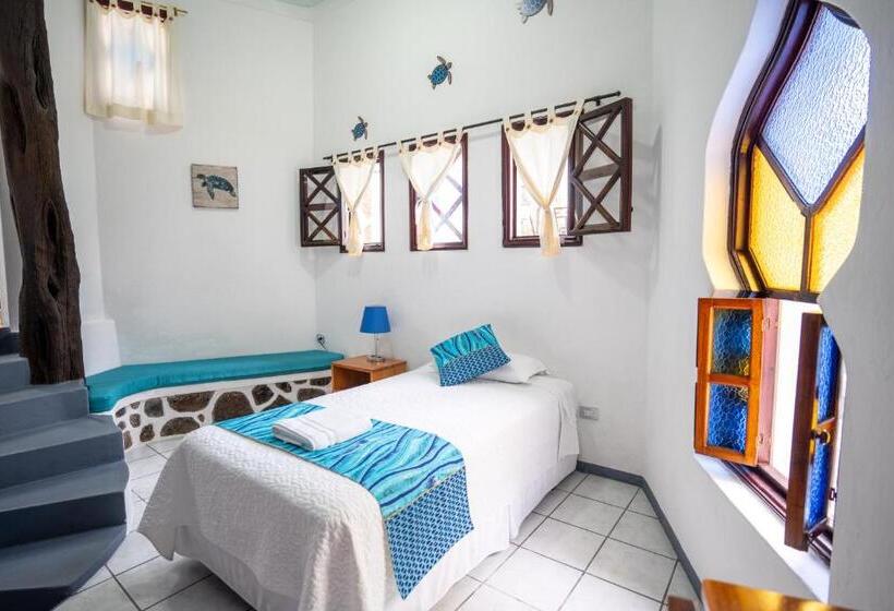 Fotos del hotel Maidith White Cove:  20