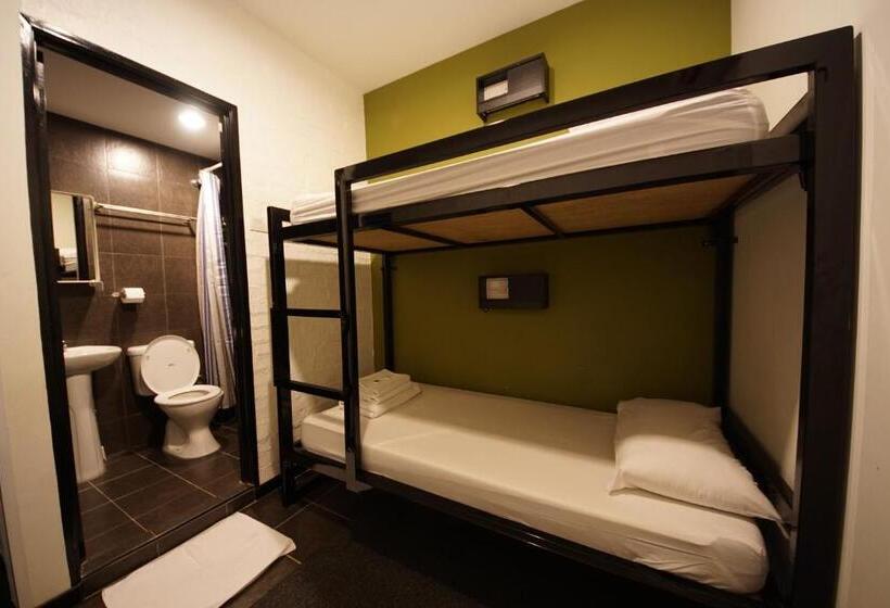 Fotos del hotel Tulip:  21