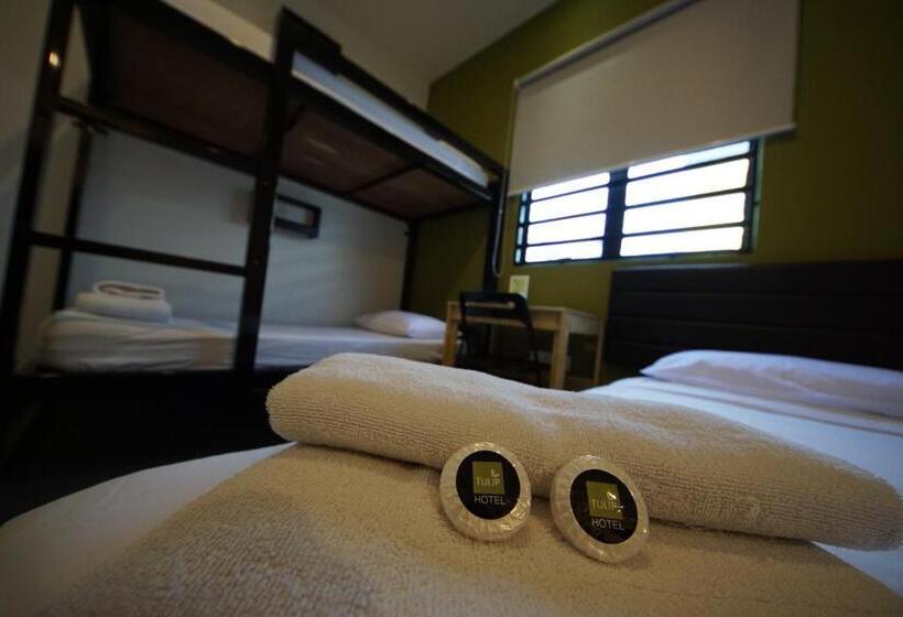 Fotos del hotel Tulip:  22