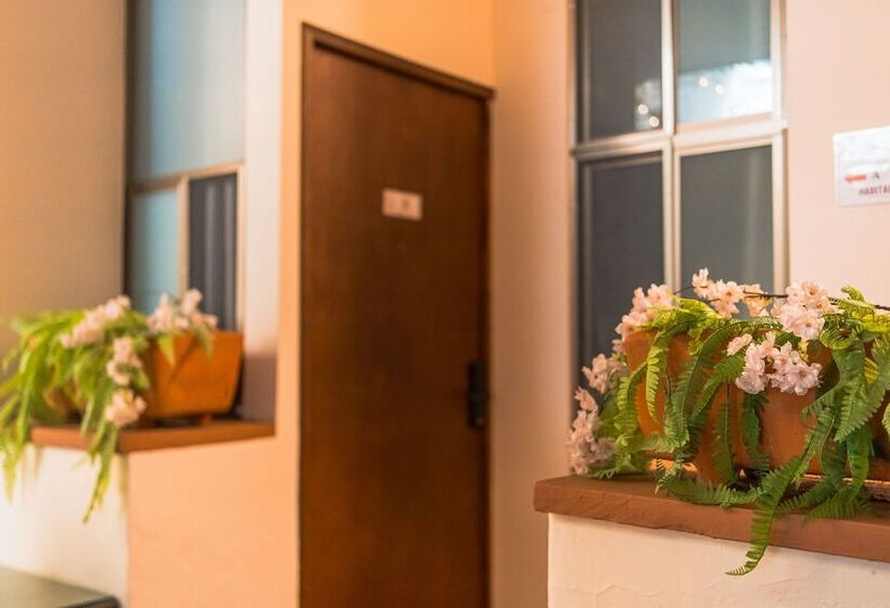 Fotos del hotel Don Nino:  10