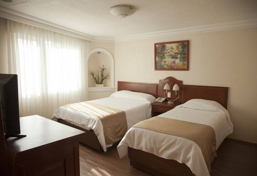 Fotos del hotel Hotel Polanco:  12