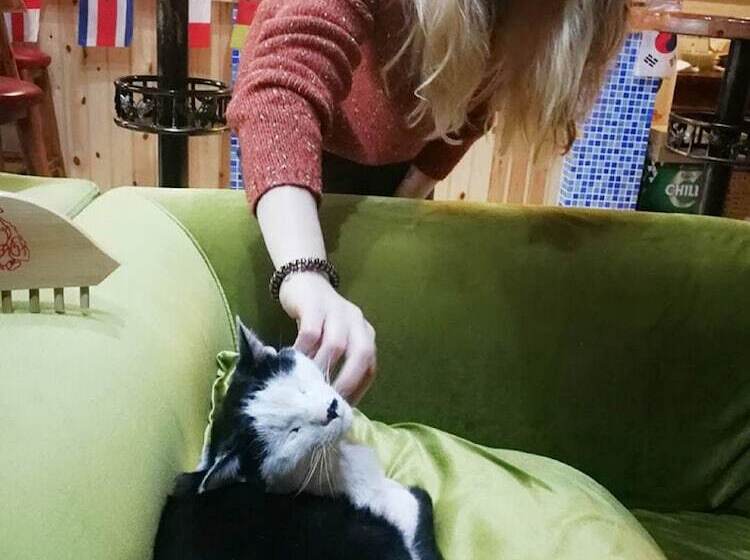 Fotos del hotel Alley Youth Hostel Xi An:  5