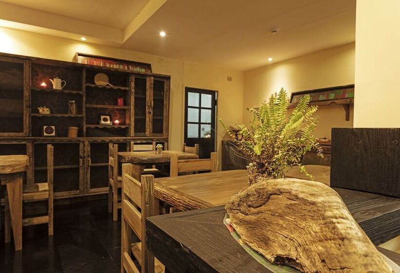 Fotos del hotel Newen B&b:  16