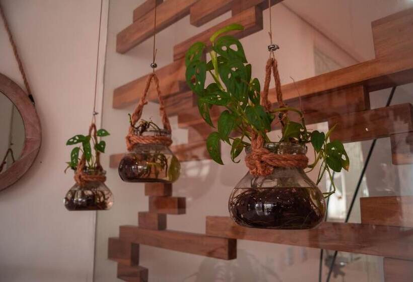 Fotos del hotel Unión Plaza:  8