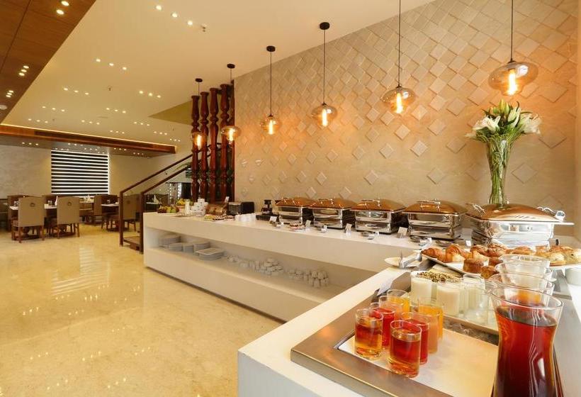 Fotos del hotel Ameya Suites:  13