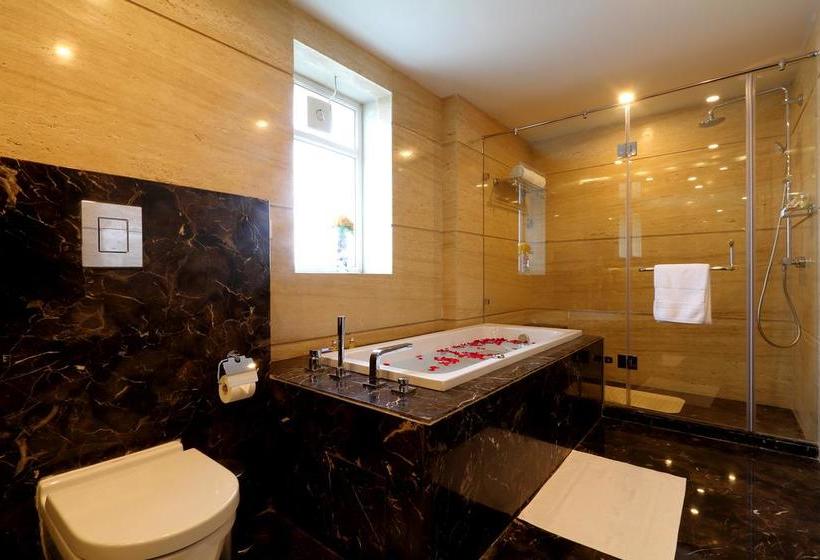 Fotos del hotel Ameya Suites:  8