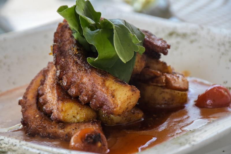 Fotos del hotel Catedral Plaza:  12