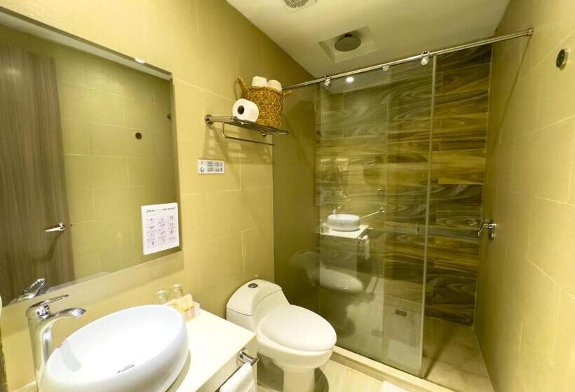 Fotos del hotel Catedral Plaza:  11