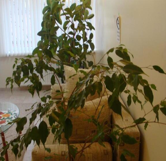 Fotos del hotel Lidia:  24