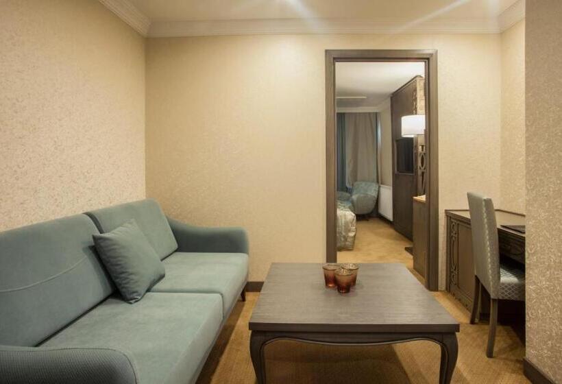 Fotos del hotel Cadence Design:  8