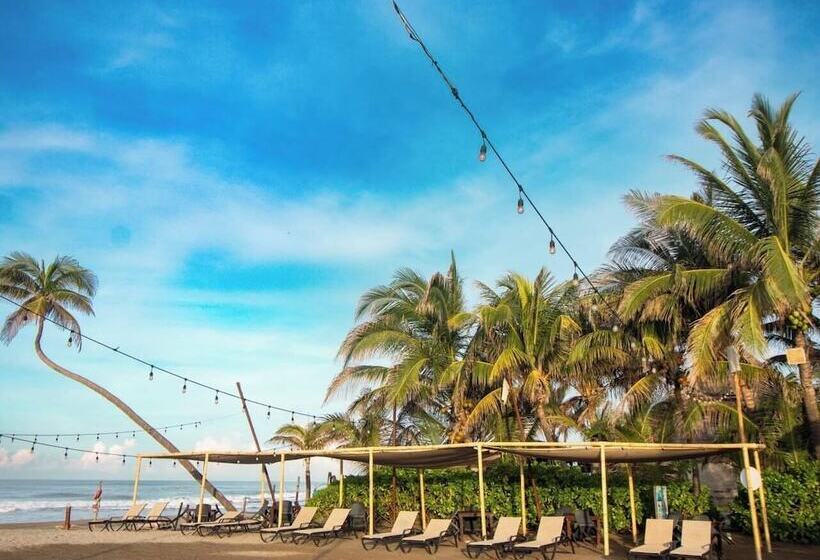 Fotos del hotel Mishol Bodas  & Beach Club Privado:  21