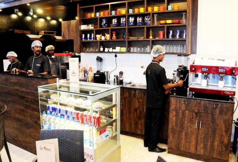 Fotos del hotel The Dawn:  12