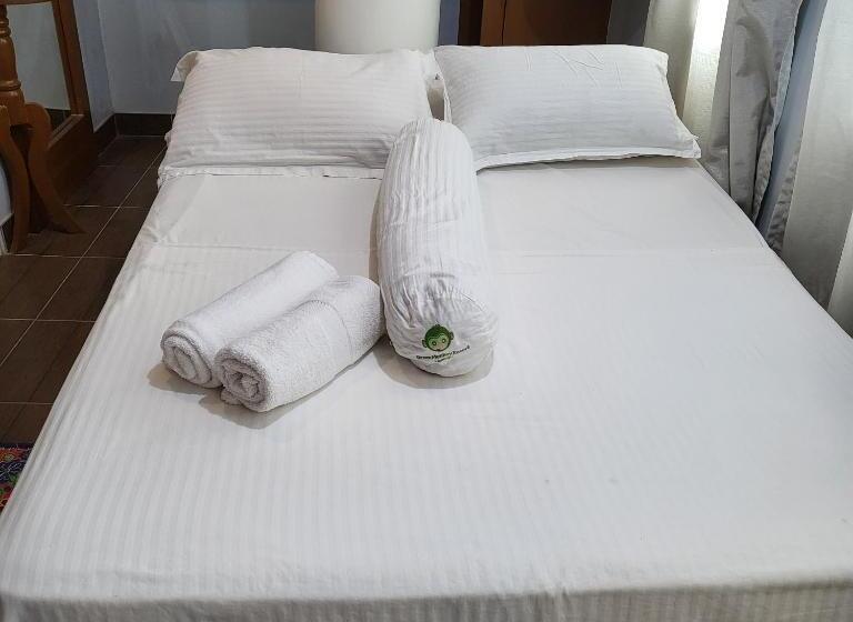 Fotos del hotel Green Monkey Resort Boracay:  21