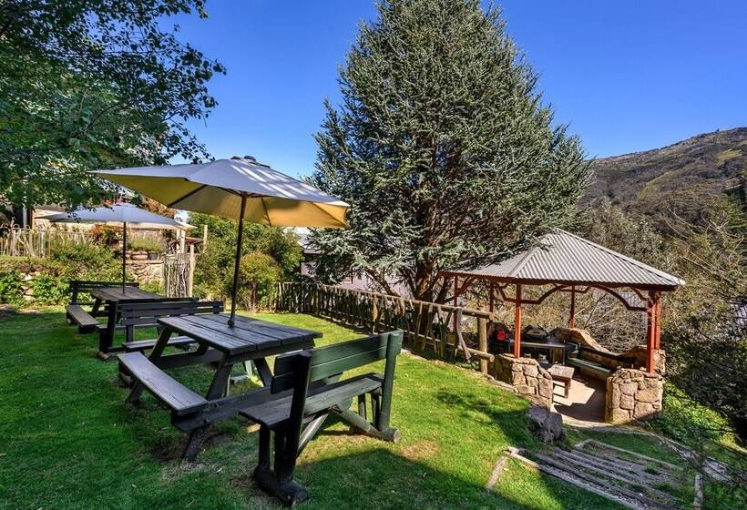 Fotos del hotel Kasees Apartments & Mountain Lodge:  13