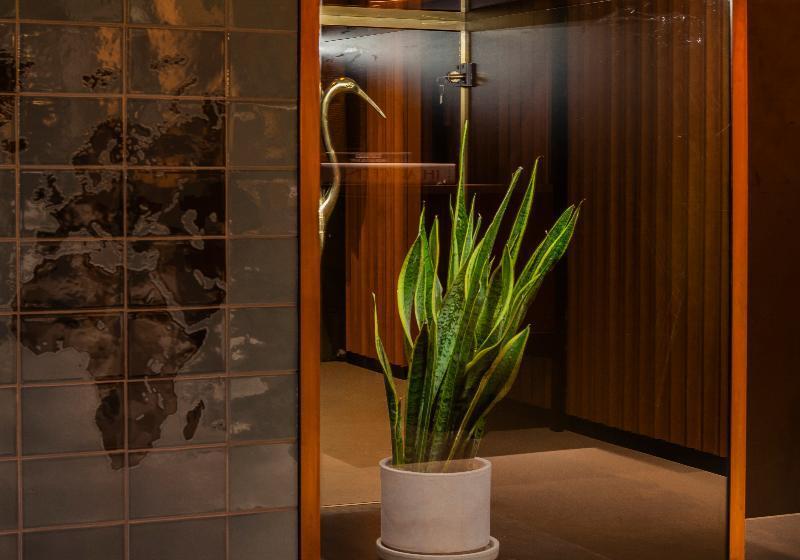 Fotos del hotel V Fizeaustraat:  10