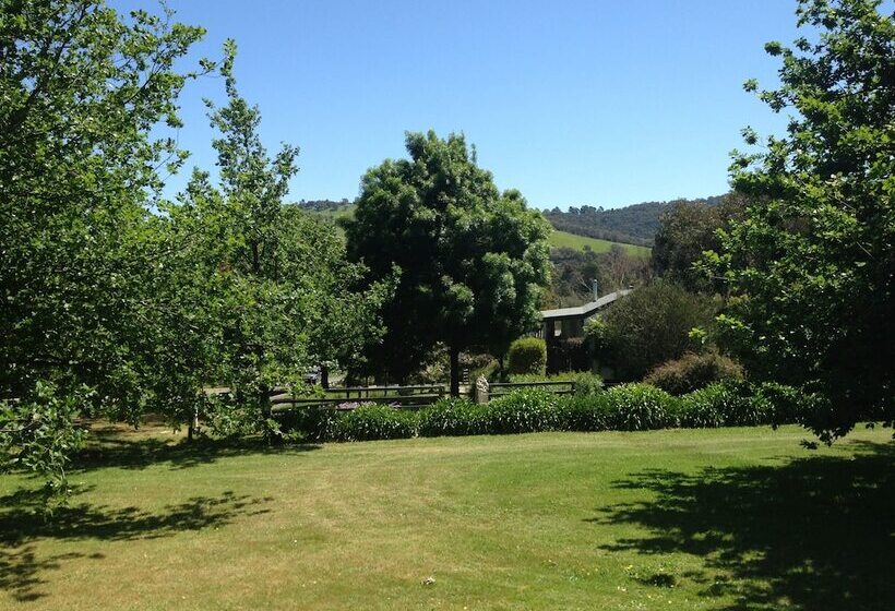 Fotos del hotel Yarra Glen Bed & Breakfast:  2