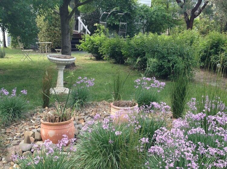 Fotos del hotel Yarra Glen Bed & Breakfast:  15