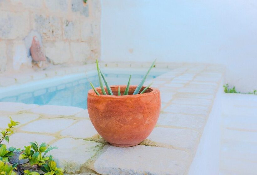 Fotos del hotel Coliving Add Livitum:  25