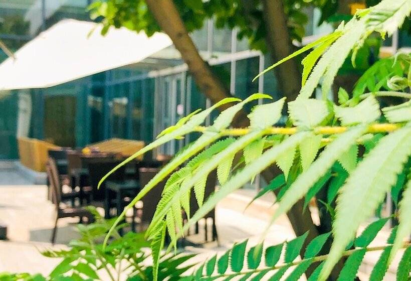 Fotos del hotel Holiday Inn Beijing Shijingshan Parkview, An Ihg:  16