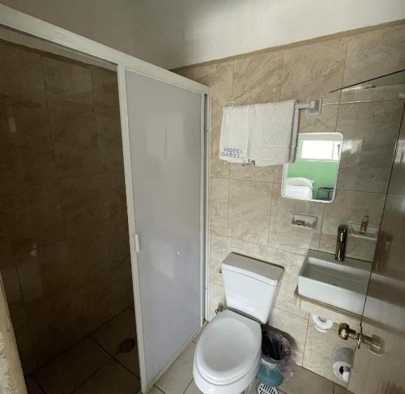 Fotos del hotel Oasis Cuyutlan By Rotamundos:  15