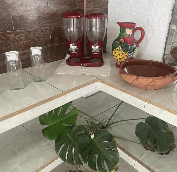 Fotos del hotel Oasis Cuyutlan By Rotamundos:  22