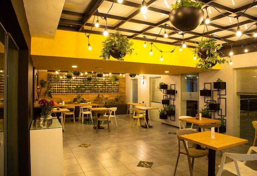 Fotos del hotel Palmetto Hotel Business San Borja:  5