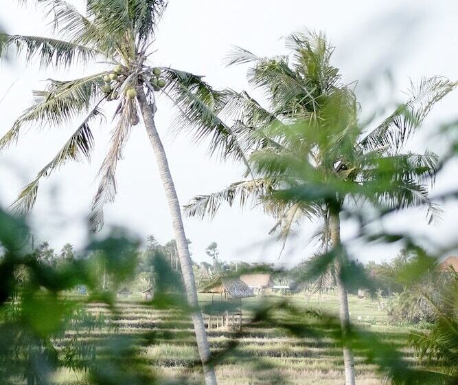 Fotos del hotel Planta Luxury Boutique Resort:  8