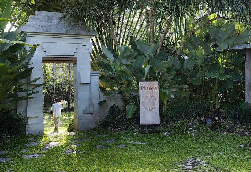 Fotos del hotel Planta Luxury Boutique Resort:  23