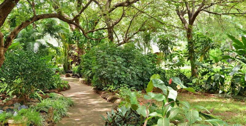 Fotos del hotel Bayete Guest Lodge:  15