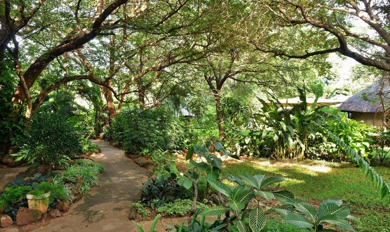 Fotos del hotel Bayete Guest Lodge:  19