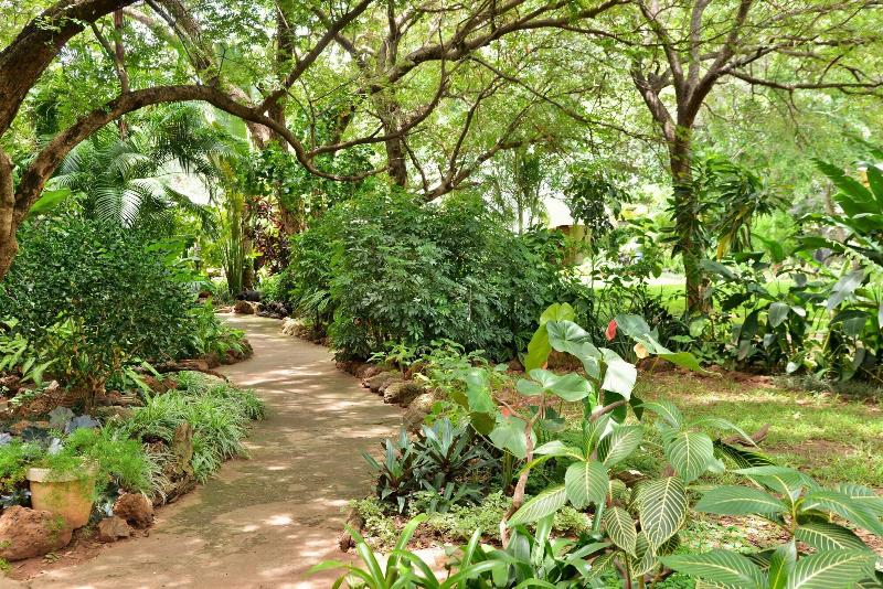 Fotos del hotel Bayete Guest Lodge:  18