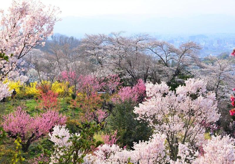 Fotos del hotel Toyoko Inn Fukushima-eki Higashi-guchi 2:  12