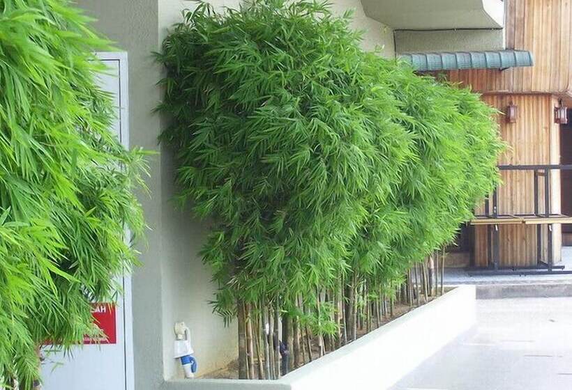 Fotos del hotel Greenleaf:  8