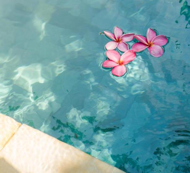 Fotos del hotel Casa Kayu Aya:  10