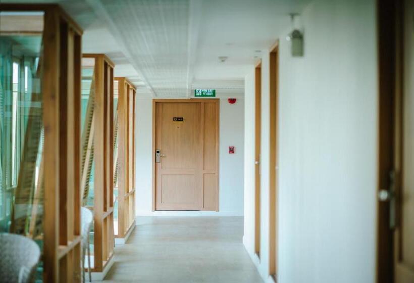 Fotos del hotel Moon Dragon:  3