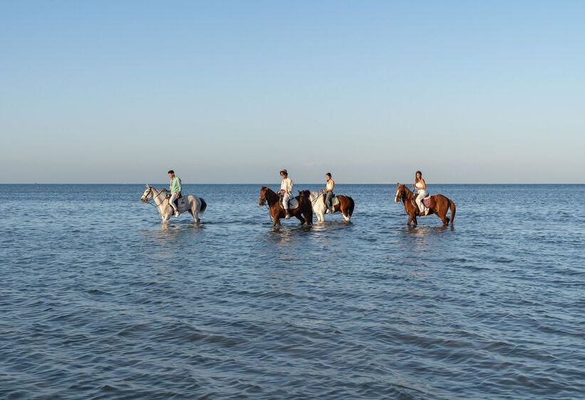 Fotos del hotel Ancient Sands Golf Resort And Residences:  13