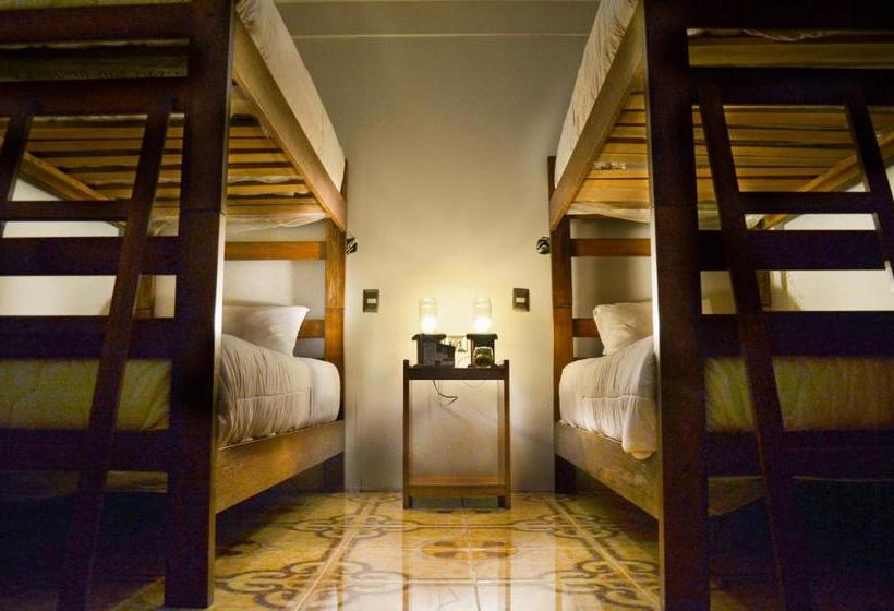 Fotos del hotel Eco Machu Picchu Pueblo:  18