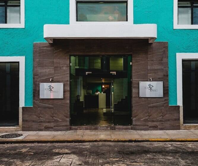 Fotos del hotel Flamingo Merida:  10