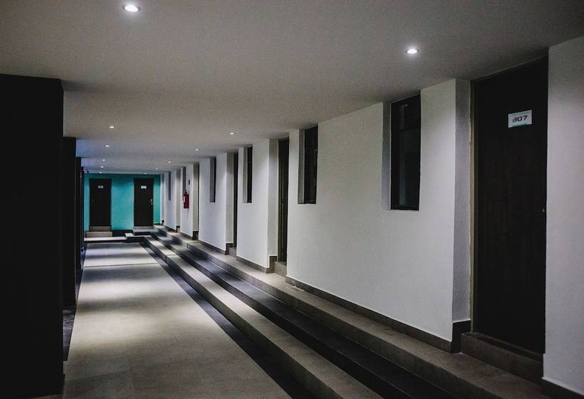 Fotos del hotel Flamingo Merida:  4