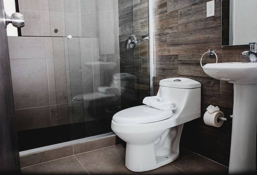 Fotos del hotel Flamingo Merida:  6