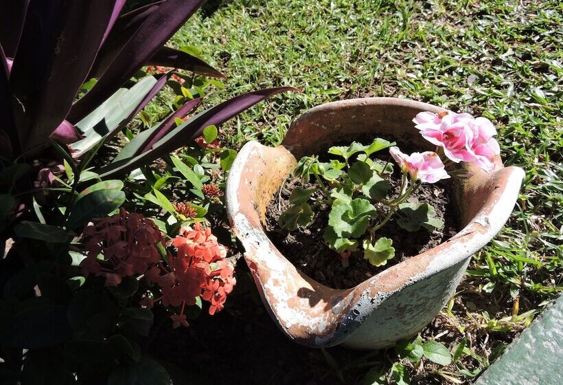 Fotos del hotel Dom Fish:  15